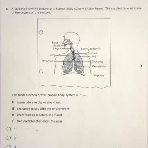6

A student drew the picture of a human body system shown below. The student labeled some
of the