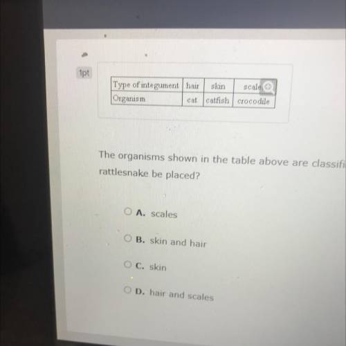 The organisms shown in the table above are classified according to the type of integument or outer