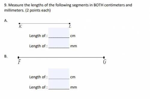 PLEASE HELP I WILL GIVE BRAINLIEST