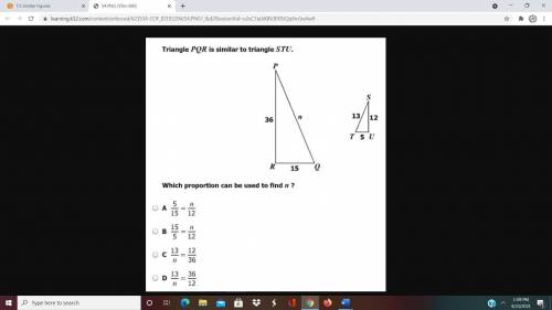 Pls, help!!! What proportion explains x