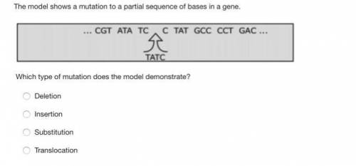 Which type of mutation does the model demonstrate?