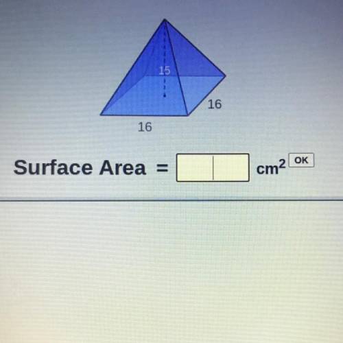 Please help!! [EASY] Surface area