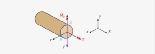 Consider a circular cross-section which experiences an internal torsional load T=17 Nm, an internal