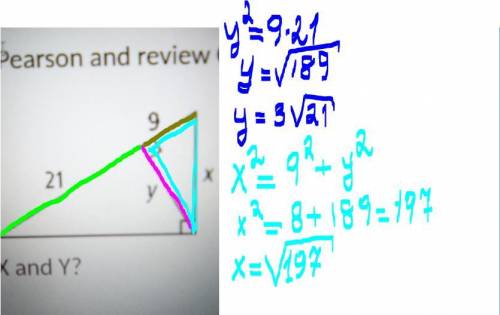 Find X and Y from the given picture ​