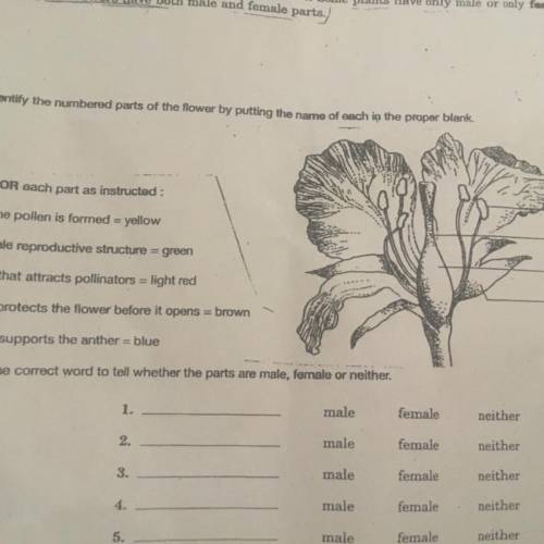 Tell me what numbers to color and Label the parts if weather their female or male