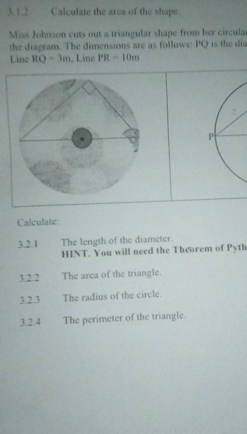 Miss Johnson cuts out a triangular shape from her circular floor carpetas illustrated on the diagra