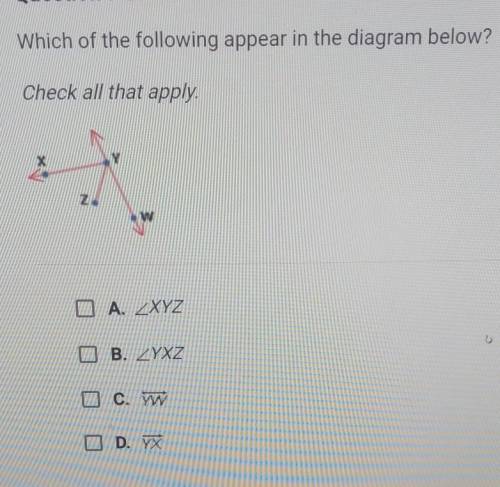 Which of the following appear in the diagram below? Check all that apply. X Z. W O A. _XYZ B. ZYXZ