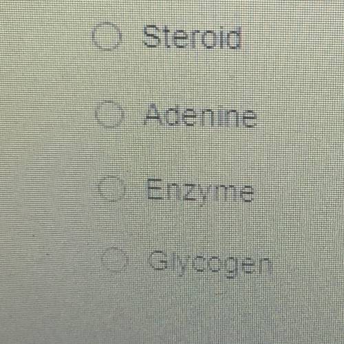 Which of the following molecules is classified as a carbohydrate?