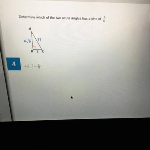 Determine which of the two acute angles has a sine of 5/11 (click photo)