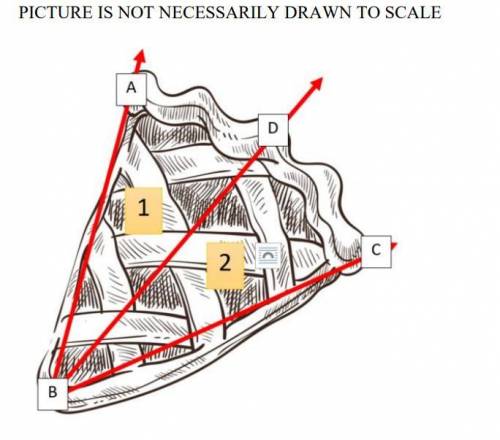 Assume we cut the last piece of the pie into two sections (1 and 2) along ray BD

such that m∠ABD