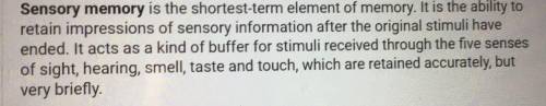 Explain how the information from stimuli can become a memory or result in a behavior. WILL GIVE BRAI