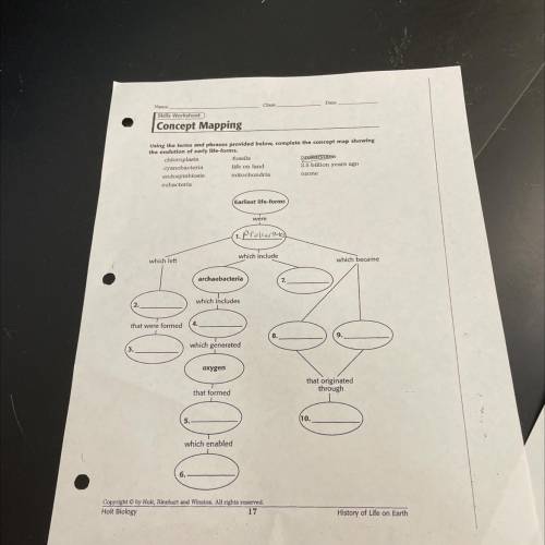 Using the terms and phrases provided below, complete the concept map showing

the evolution of ear