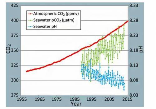 Select the correct answer from each drop-down menu.

Study the graph and then complete the passage