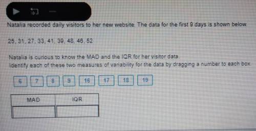 Natalia is curious to know the MAD and IQR for her visitor data​