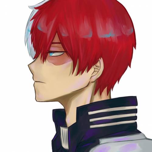 Shoto todoroki stans i need more pfps pls these are the ones i have so far and I don't need half nak