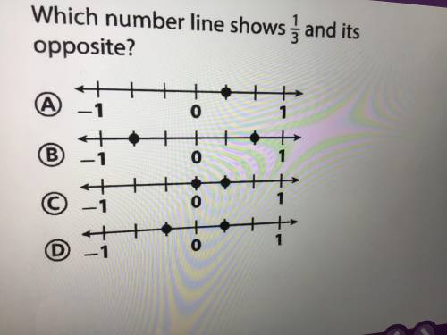 Answer please which number line shows 1/3 and it’s opposite