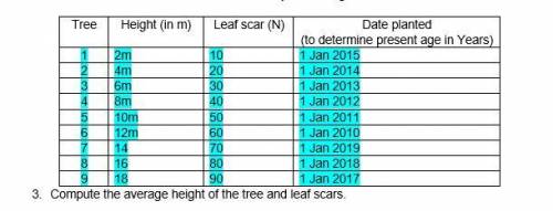 Compute the average height of the tree and leaf scars.