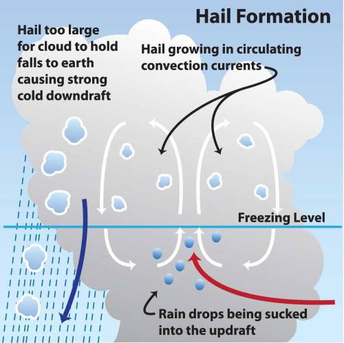 Which type of precipitation forms when there is warm air above the cloud but freezing air close to t