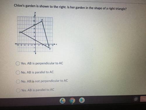 GEOMETRY!! I will give brainliest