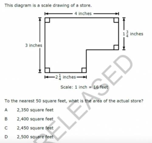 To the nearest 50 square feet, what is the area of the actual store?