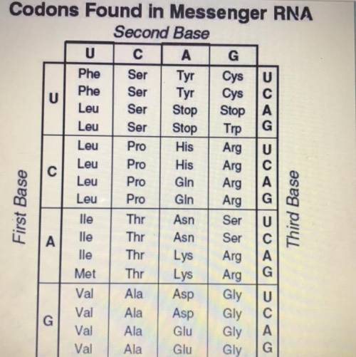 What amino acid is produced when you start off with the sequence: GTA?*