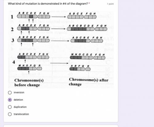 What Kind of Mutation is demonstrated?