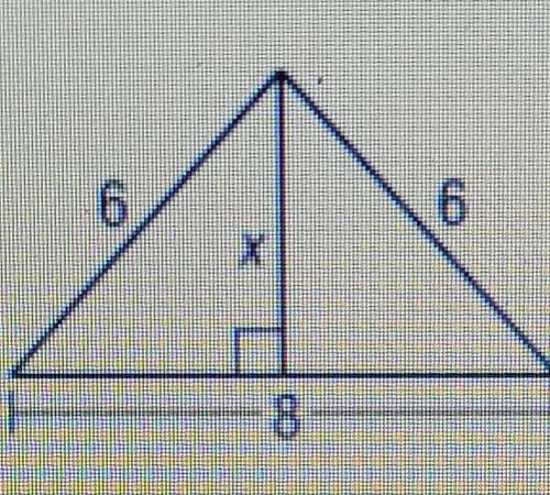 Can someone please help me find x​