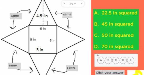 PLEASE HELP-
will give brainliest if you answer all the questions