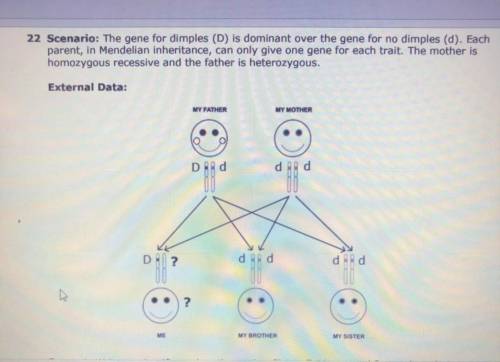 Please help I’ll mark you as brainliest if correct.

Prompt: Write a scientific explanation, using