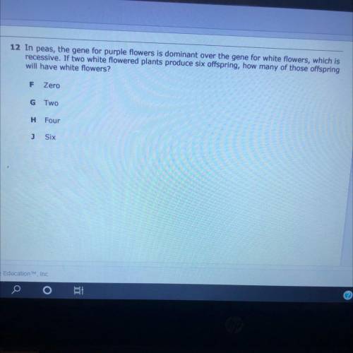 Please help I’ll mark you as brainliest if correct