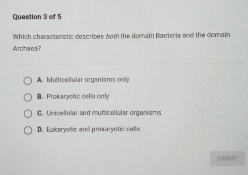 Please help me with these questions!​