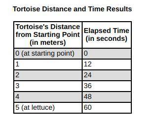 Henry wanted to know how fast his pet tortoise could walk.

First, he placed a nice leaf of lettuc