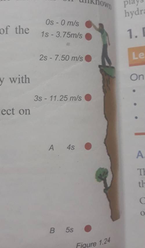 What is the velocity of position A and B?answer please ​