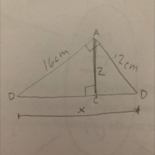 Find x and z of this triangle. explain