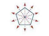 Your friend thinks that the regular pentagon in the diagram has 10 lines of symmetry. Explain and c