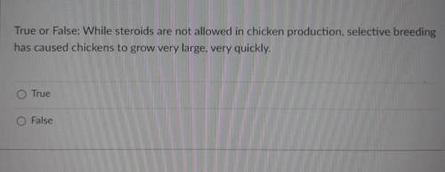 True or False: While steroids are not allowed in chicken production, selective breeding has caused