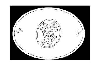 Use the figure below to find how many possible combinations of maternal and paternal chromosomes ca