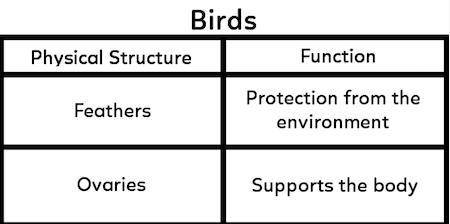 GIVING BRAINLIEST

A student made a table to show information about the physical structures