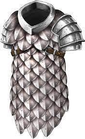 What is this armor called
first to get it becomes brainliest!!!