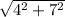 \sqrt{4^{2}+7^{2}  }