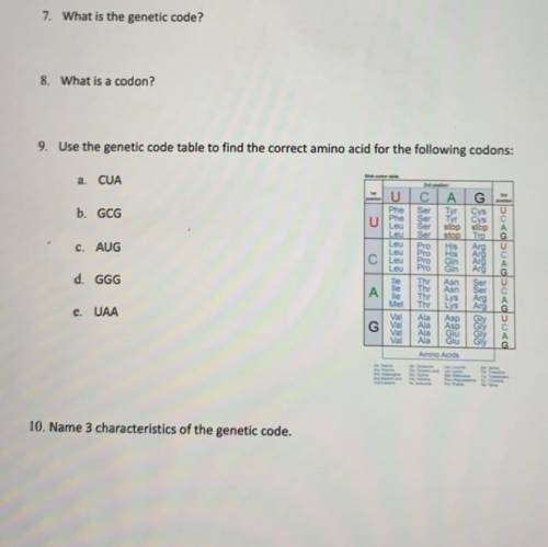 What is the answer to this?!