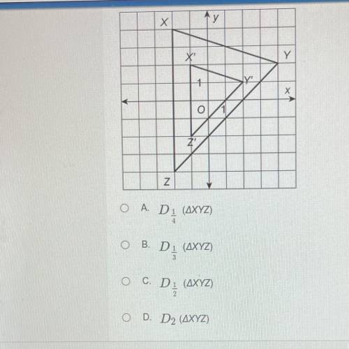 PLS HELPP MEE!!!

The question is to find the dilation
Х
y
X
Y
Х
o
z'
N
O A. Di (AXYZ)
O B. Di (AX