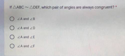 If AABC ~ ADEF, which pair of angles are always congruent?