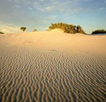 Item 5

How did these sand dunes form?
At one time, a river ran through this area. When it dried,