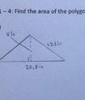 ANSWER THIS PLEASEFind the polygon​