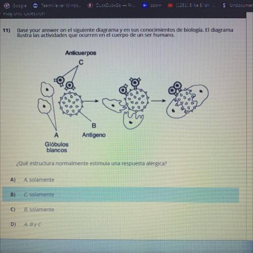 11) Base your answer on el siguiente diagrama y en sus conocimientos de biologia. El diagrama

ilu