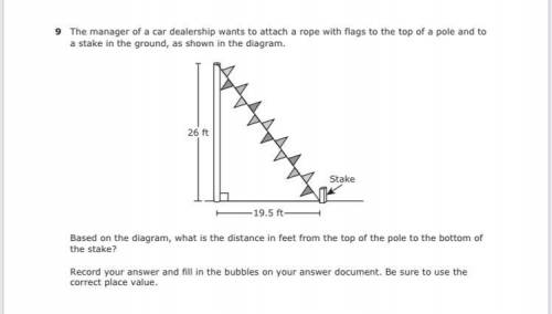 What’s the answer (no link I give