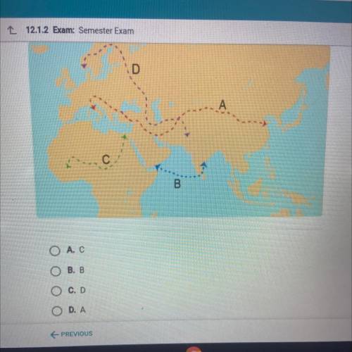 Which dotted line best represents the Silk Road trade network?

Pls help
Will mark brainliest if n