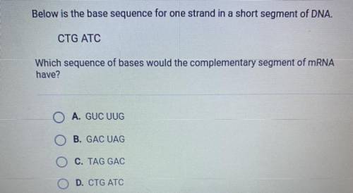 PLEASE HELP I NEED HELP

Below is the base sequence for one strand in a short segment of DNA.
CTG