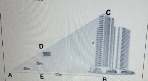 Solve this problem and set up the proportions up. show your work please ​